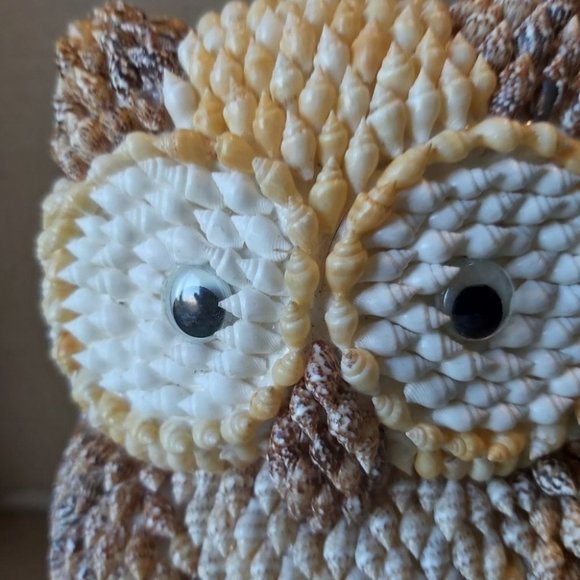 Handmade Owl in Seashells - Picture 2 of 9